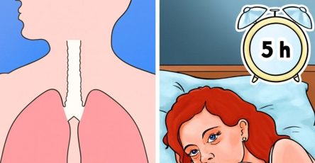 WhatsApp Image 2025 10 17 a 23.59.18 0b9bbb36