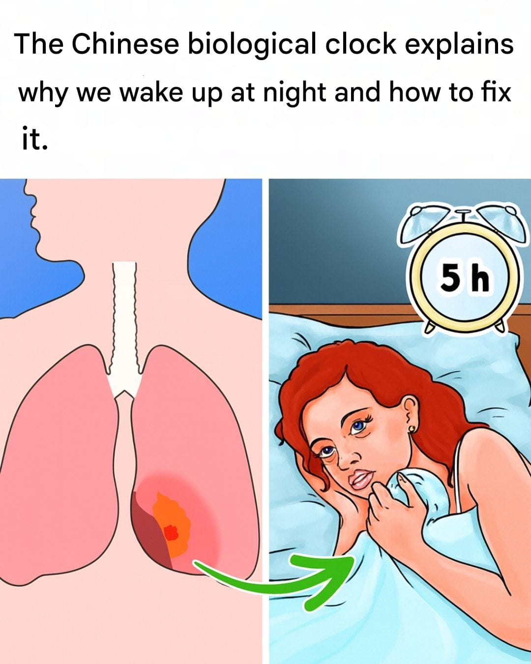 WhatsApp Image 2025 10 17 a 23.59.18 0b9bbb36