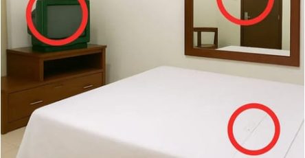 WhatsApp Image 2025 10 18 a 00.01.09 8bb72541