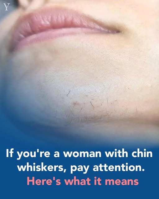 WhatsApp Image 2025 10 22 a 19.29.38 06b7490f