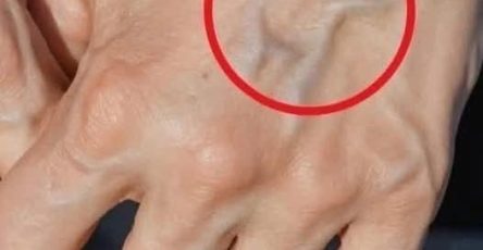 WhatsApp Image 2025 11 08 a 02.38.45 f468a4b9