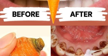 WhatsApp Image 2026 01 04 at 01.21.41