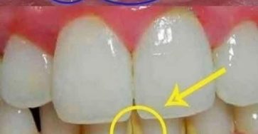 WhatsApp Image 2026 02 02 at 23.38.41