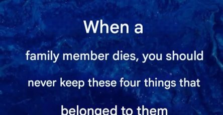 WhatsApp Image 2026 02 04 at 20.21.15