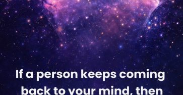 WhatsApp Image 2026 02 07 at 21.31.57