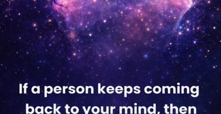 WhatsApp Image 2026 02 07 at 21.31.57