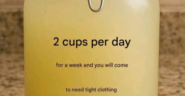 WhatsApp Image 2026 02 08 at 02.31.12