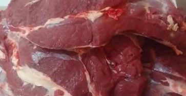 WhatsApp Image 2026 02 23 at 15.58.38