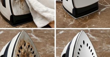 WhatsApp Image 2026 02 25 at 04.21.25