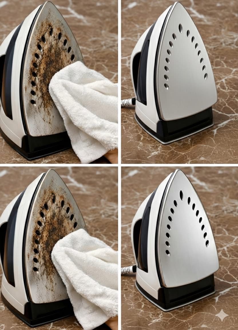 WhatsApp Image 2026 02 25 at 04.21.25