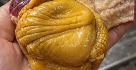 WhatsApp Image 2026 03 06 at 02.59.56