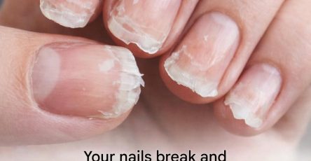 WhatsApp Image 2026 03 08 at 02.59.10