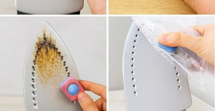 WhatsApp Image 2026 03 08 at 14.56.24