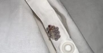 WhatsApp Image 2026 03 08 at 15.22.36