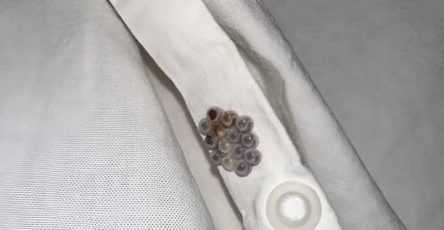 WhatsApp Image 2026 03 08 at 15.22.36