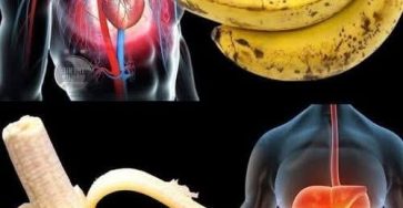 WhatsApp Image 2026 03 09 at 03.06.22