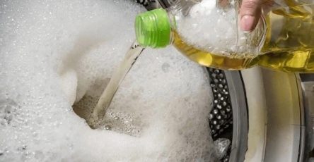 WhatsApp Image 2026 03 09 at 21.05.05