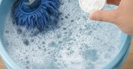 WhatsApp Image 2026 03 10 at 22.05.42