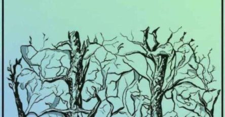 WhatsApp Image 2026 03 16 at 23.26.37