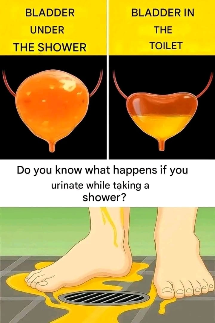 Ab018cc6 9dad 4284 8c45 7a40918f0ca0