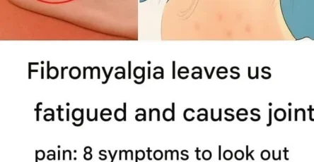 D096a51e 3dd8 4bbe bc2c c9e6e62adee5 683x1024.jpg