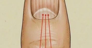 D66e6dbc bd33 482b 95e2 138e71e6fef0