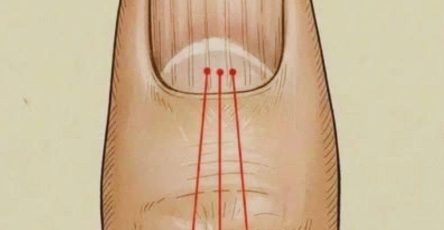 D66e6dbc bd33 482b 95e2 138e71e6fef0