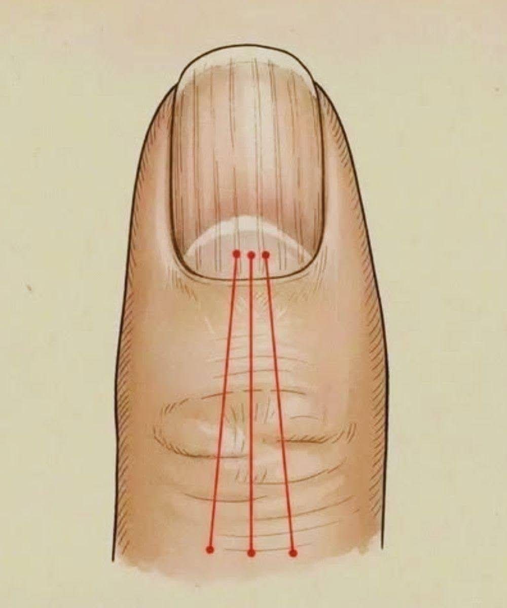 D66e6dbc bd33 482b 95e2 138e71e6fef0