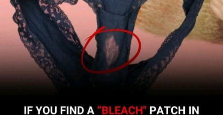 E5b286d8 b7d5 4e90 8660 da39d3514a7d