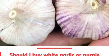 Fb7927146ec7d7b1feb8e0c91bd0f30a