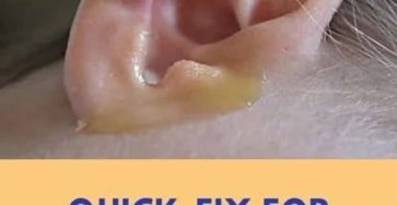 Httpsprzepisyzpolski.pl .kora show.livestagingmoje plastikowe okna nie mokna zima dziele sie z wami sposobem na pozbycie sie kondensacji w 3 minuty moje przydatne wskazowki