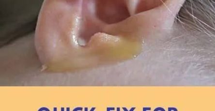 Httpsprzepisyzpolski.pl .kora show.livestagingmoje plastikowe okna nie mokna zima dziele sie z wami sposobem na pozbycie sie kondensacji w 3 minuty moje przydatne wskazowki