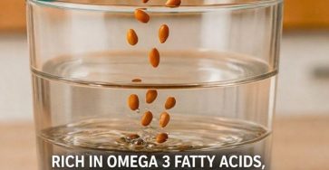 Photo 2026 02 23 02 06