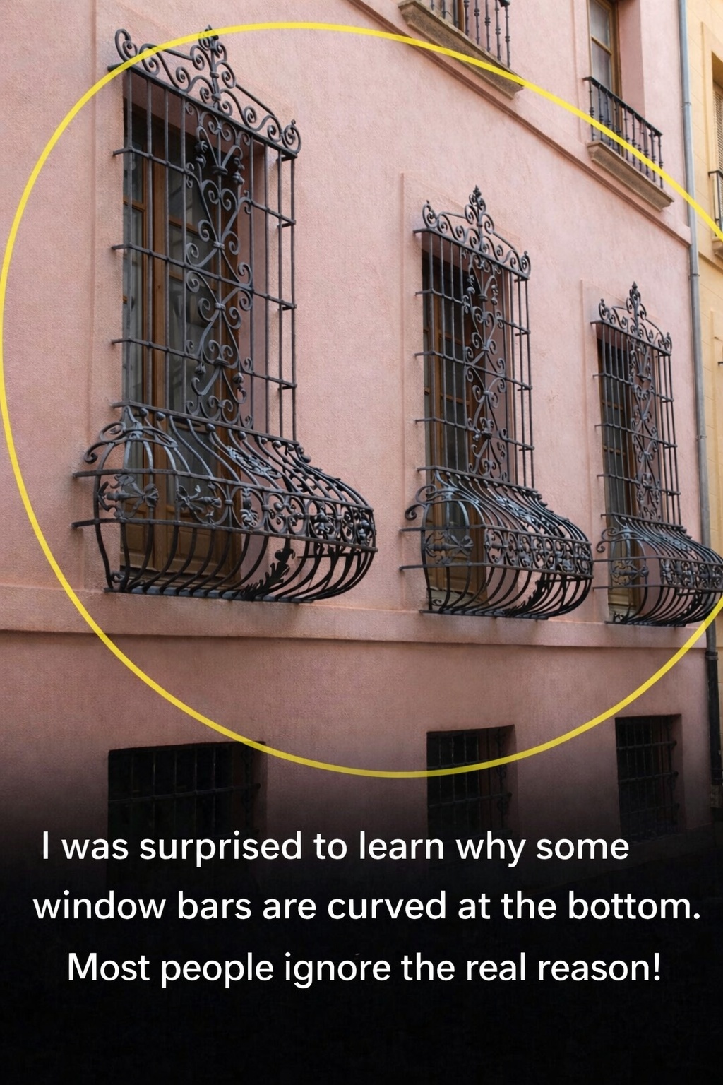 Window bars reason (1)