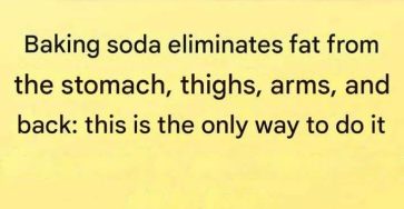 5c7b8a8d f743 4557 9d1d e96029c8bd4c