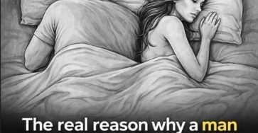 668604875 122245516346102037 4616725617922570754 n