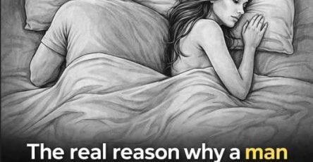 668604875 122245516346102037 4616725617922570754 n