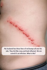 670496021 1492404976005792 5121402138952213659 n