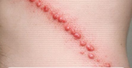 670496021 1492404976005792 5121402138952213659 n