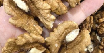 86de4be4 26d6 46a9 9bbe bfcff355faa3