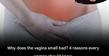 91c20525 382c 4a0b 9549 f089bb190bad