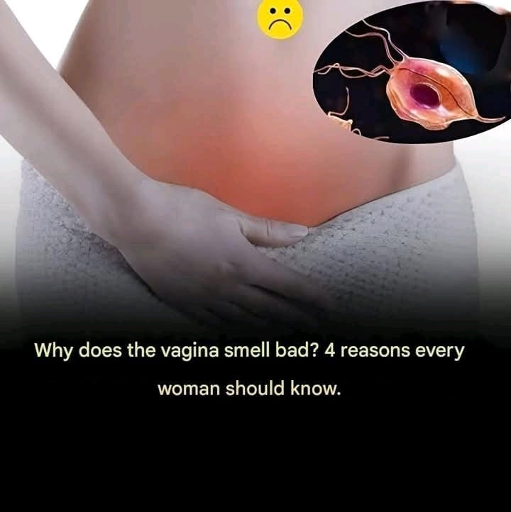 91c20525 382c 4a0b 9549 f089bb190bad