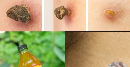 WhatsApp Image 2025 09 17 a 23.46.21 1b985398