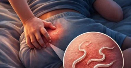 WhatsApp Image 2026 04 04 at 11.52.44